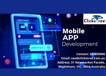 Website and Mobile App Development Co.