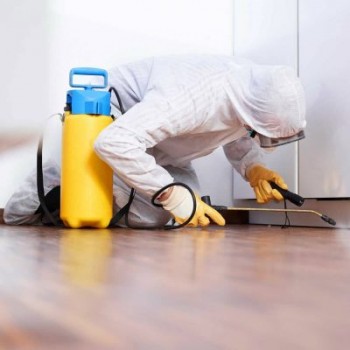 ANCHOR PEST CONTROL MARYKNOLL