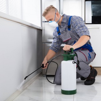 PURE DUCT CLEANING LICOLA