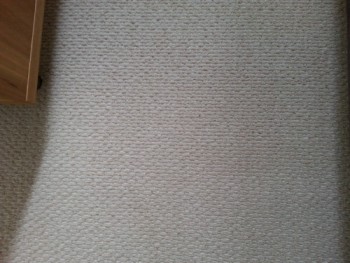 Best Carpet Stain Removal in Sunshine Coast  DeVere