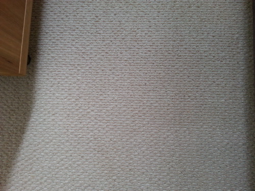 Best Carpet Stain Removal in Sunshine Coast  DeVere