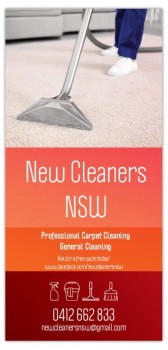 Professional Carpet cleaning services