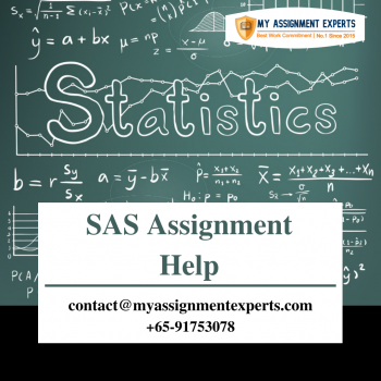SAS Assignment Help | SAS Assignment Help At Affordable Price
