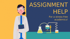 Home work /Assignment help 