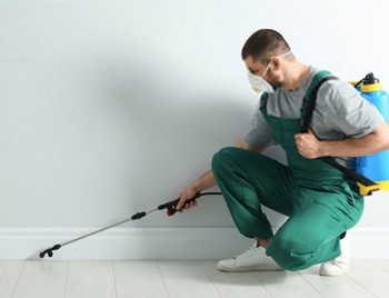 Pest Control In Bellfield | Alpha Pest Control Bellfield