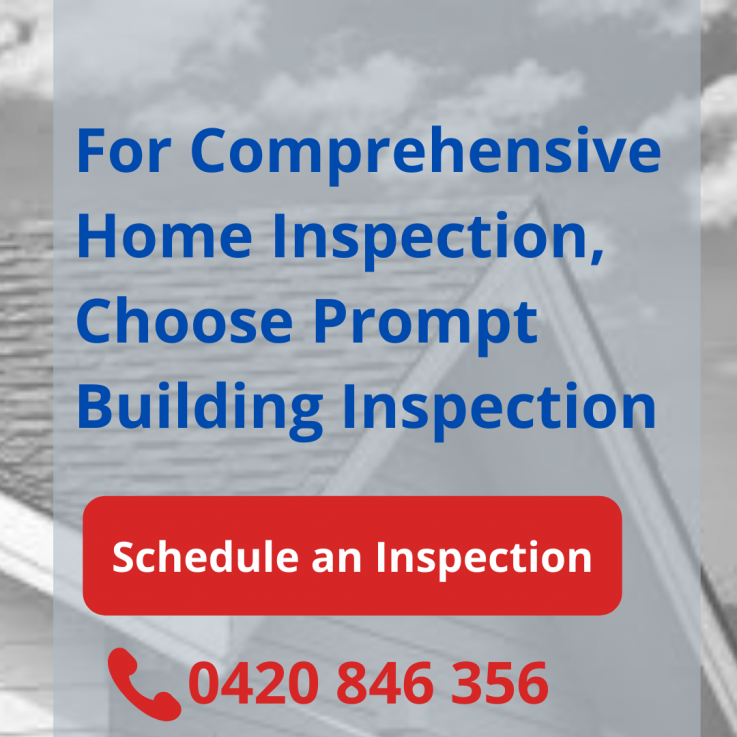 Prompt Building Inspections provide Detailed Timber Pest Inspection Service in Perth