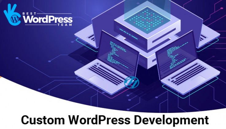 Custom WordPress development company Ind