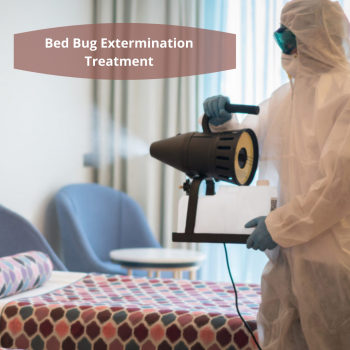 Pest Control Glen Iris