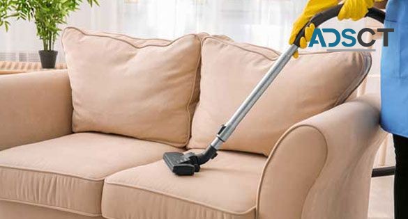 Professional Upholstery Cleaning Perth