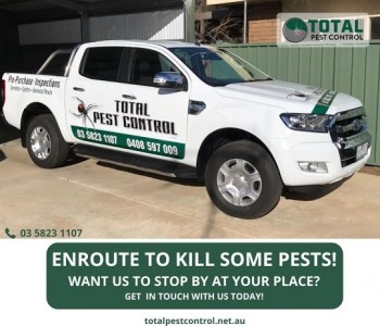 Is pest control only available in Bendigo?