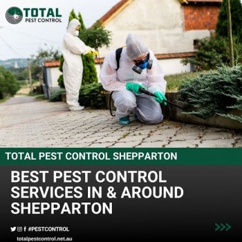 Is pest control only available in Bendigo?