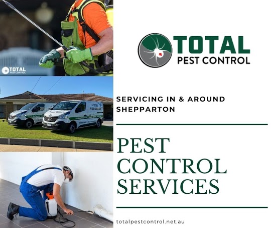 Is pest control only available in Bendigo?