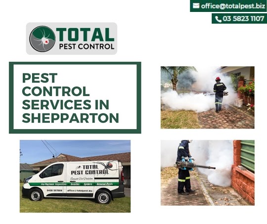Is pest control only available in Bendigo?