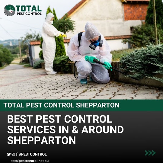 Is pest control only available in Bendigo?