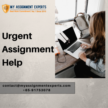 Urgent Assignment Help | My Assignment Help