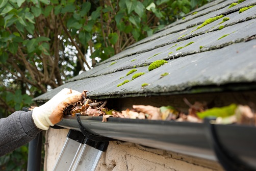 Gutter Cleaning in Sydney and Suburbs
