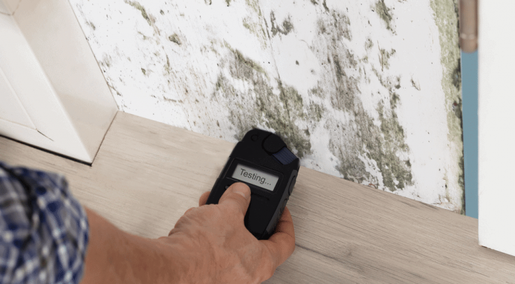 Building Biologists In Sydney | Building Harmony