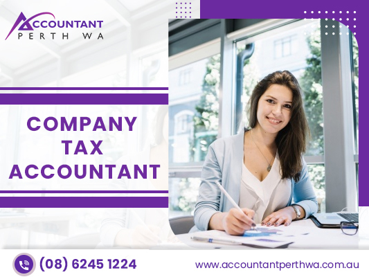 Get A Professional Tax Return Accountant For Company Tax Lodgement 