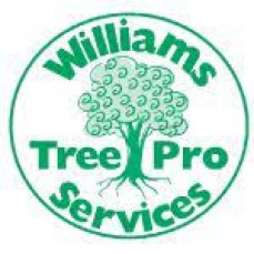 Williams Tree Pro Services