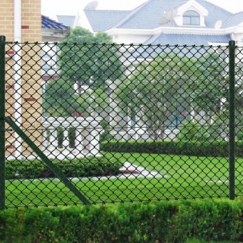 Chain Link Fence with Posts Steel 0,8×25