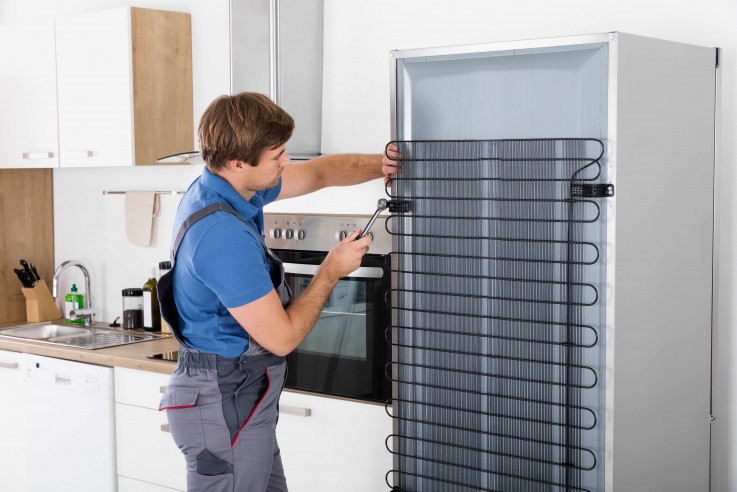 Fridge Services