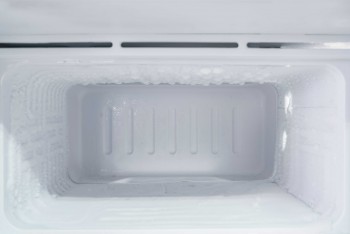 Freezer Services