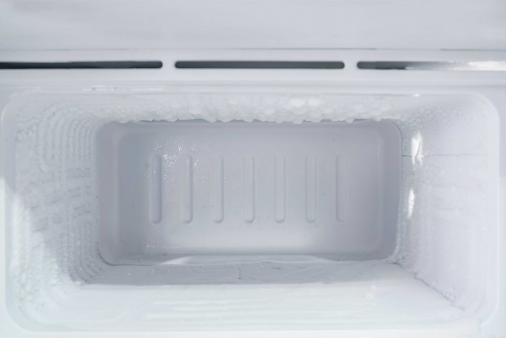 Freezer Services