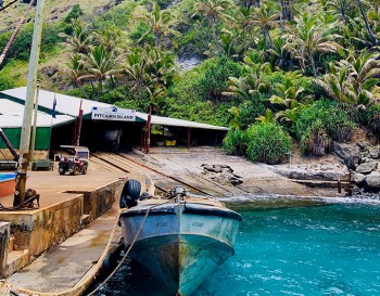 Bird, Wildlife & Cultural Tours - Pitcairn Island