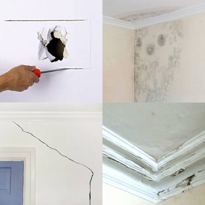 Gold Coast Plastering Repairs – GroLife Property Services