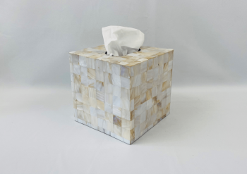 Beautiful Tissue Box Cover Embedded