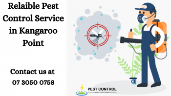 Pest Control Service in Kangaroo Point
