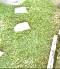 S & D PRECISION QUALITY GARDENING, MOWING 