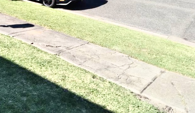 S & D PRECISION QUALITY GARDENING, MOWING 