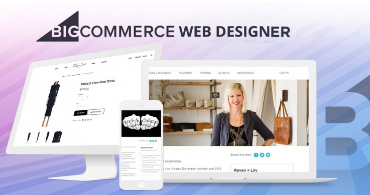 Top Bigcommerce Web Designer 2020