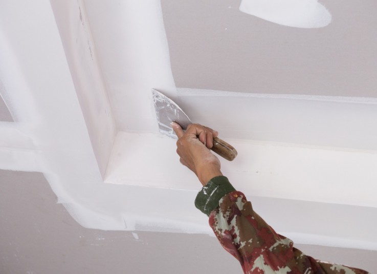 Ceiling Repair Services Brisbane – GroLife