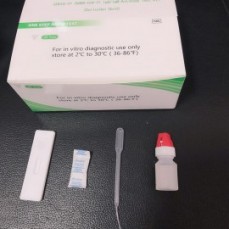 Rapid Test Kit for Coronavirus 2020