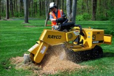 Integrity Tree Services