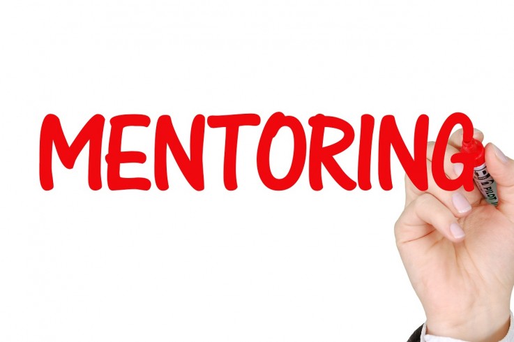 Business Mentoring Programs Online