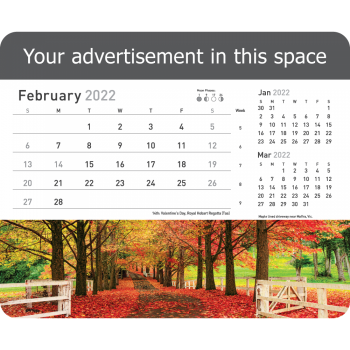 Choose Promotional Calendar for Business at Nominal Price