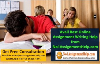 Avail Best Online Assignment Writing Help from No1AssignmentHelp.com