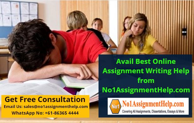Avail Best Online Assignment Writing Help from No1AssignmentHelp.com