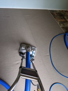 Carpet Cleaning and Office Cleaning