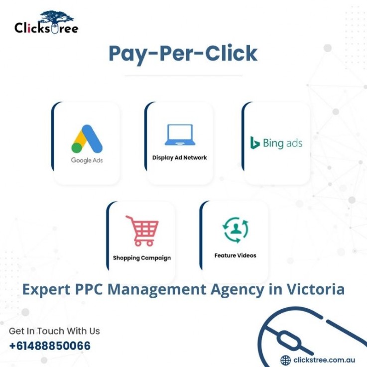 ClicksTree Expert PPC Management Agency 