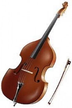 Get Finest Double Bass Lessons In Melbourne