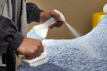 A Stain Removal In Box Hill Is Not That Tough To Get Done - Hire NYCleaning Experts