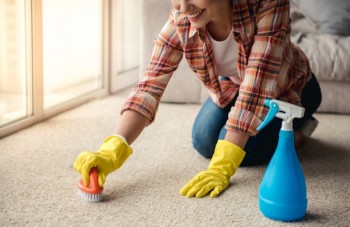 A Stain Removal In Box Hill Is Not That Tough To Get Done - Hire NYCleaning Experts