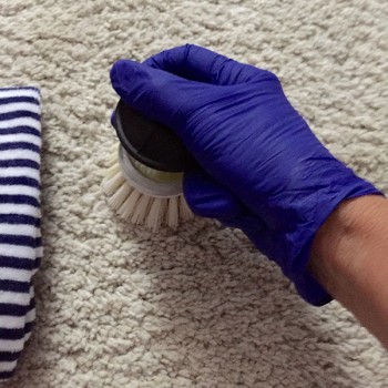 A Stain Removal In Box Hill Is Not That Tough To Get Done - Hire NYCleaning Experts