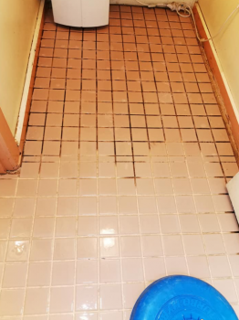Reliable Tile Grout Cleaning Services in Box Hill, Melbourne
