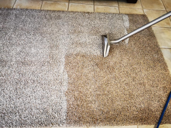Quick and Efficient Carpet Flood Damage Cleaning Services in Box Hill, Melbourne