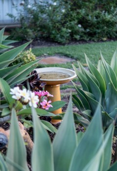 Garden Landscaping in Perth